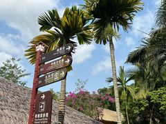 -海南槟榔谷黎苗文化旅游区