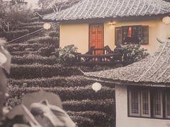 -奈雪的茶(花城汇中区PRO店)