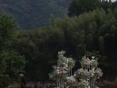 -怪咖·joker陈楠