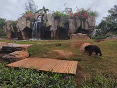 -海南热带野生动植物园