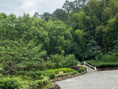 -九龙潭景区