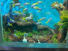 -合肥海洋世界