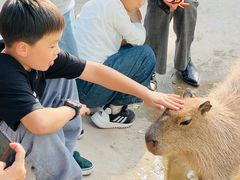 -鄂尔多斯野生动物园
