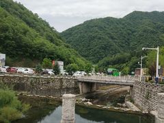 -牛背梁国家森林公园