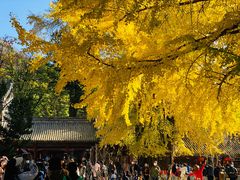 -潭柘寺景区
