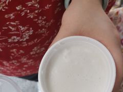 -洪馨椰子