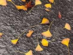 -三江森林温泉度假区