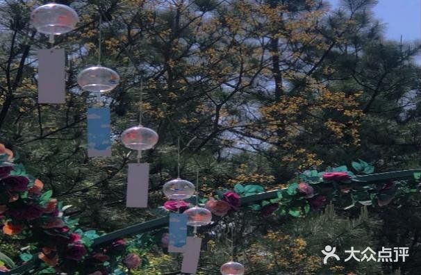 春日图鉴 | 拍照圣地 | 南京高淳国际慢城桠溪