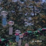 春日图鉴 | 拍照圣地 | 南京高淳国际慢城桠溪