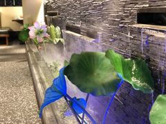 -大榕树下顺德菜(融创茂店)