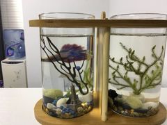 -绿房子心理咨询