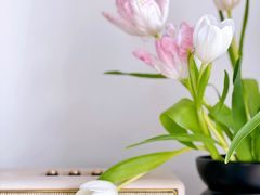 -花生FM_FLOWERS
