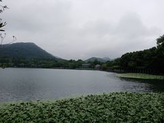 -西湖游船