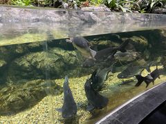 -江和美海洋公园