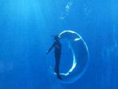 -多彩贵州城极地海洋世界