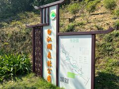 -广州白江湖森林公园