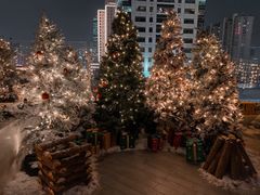 -城市露台景观餐厅(淮海路店)