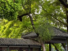 -荔湾湖公园