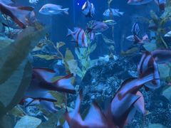 -海合安成都极地海洋公园