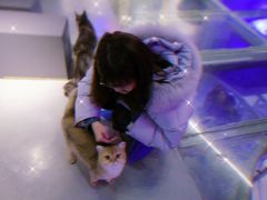 -极木²邸 人与宠物·互动社区