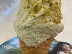 -野人先生Gelato(上海长宁龙之梦店)