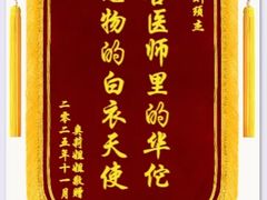 -瑞派申生动物医院·24H夜诊·国际动物医疗中心·骨外科(吴中路店)