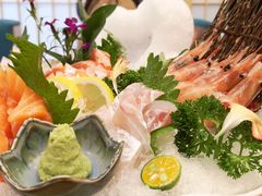 -一本钓鲔鱼屋