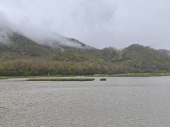 -大九湖