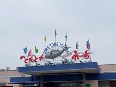 -南纪白浜Toretore市场