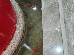 -郭林家常菜(狼垡店)