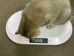 -美联众合动物医院·24h京西诊疗中心