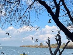 -捞渔河湿地公园