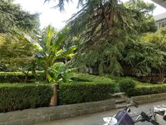 -复旦大学附属华山医院(江苏路分部)