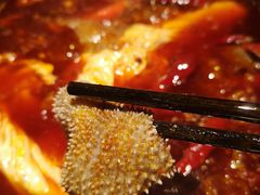 -二荆条·蜀鲜汇城市森林火锅