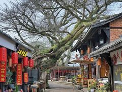 -徐老幺奶汤面