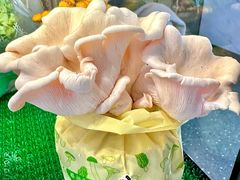 -烹然四季椰子鸡火锅(姚家园万象汇店)