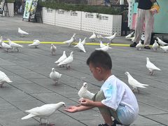 -华谊兄弟（长沙）电影小镇