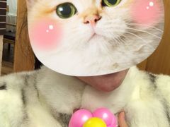 -乌托邦轰趴日租聚会别墅(先生的院子店)