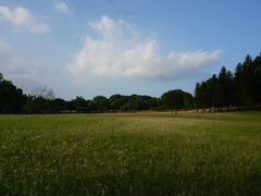 -福建鲤鱼洲酒店