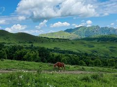 -灵山