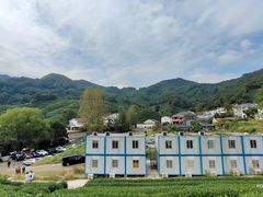 -龙井村