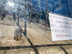 -北京鹿世界主题园