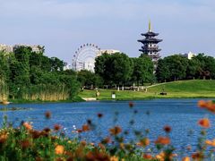 -洋湖国家湿地公园