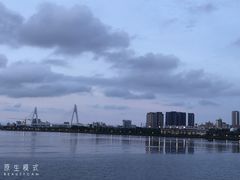 -万绿园