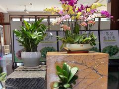 -黔蘑菇四季餐厅(观山湖店)