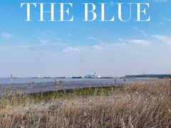 -上海吴淞炮台湾国家湿地公园