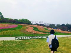 -秀丽东方
