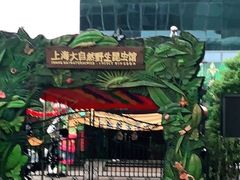 -上海大自然野生昆虫馆(东方明珠·爬宠昆虫探索中心)