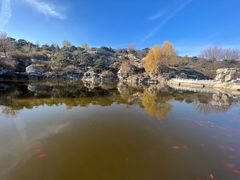 -北京西山国家森林公园