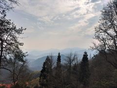 -莫干山风景区